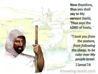 2 Samuel 7:8 Thus You Shall Say To My Servant David (sage) 